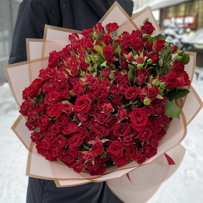 51 кустовая красная роза Рубикон 50 см